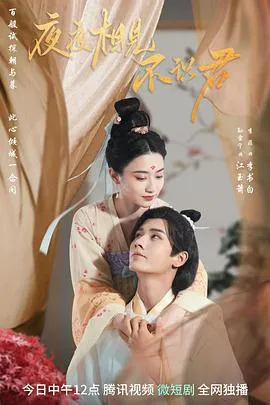 夜夜相见不识君