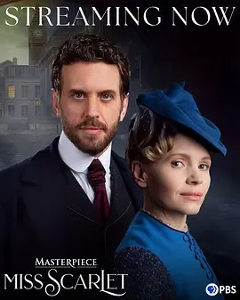 斯嘉丽小姐探案集：关系与冒险齐飞