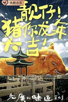 老广的味道 第九季