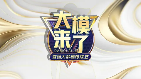 《大模来了》：模特文化深度解析