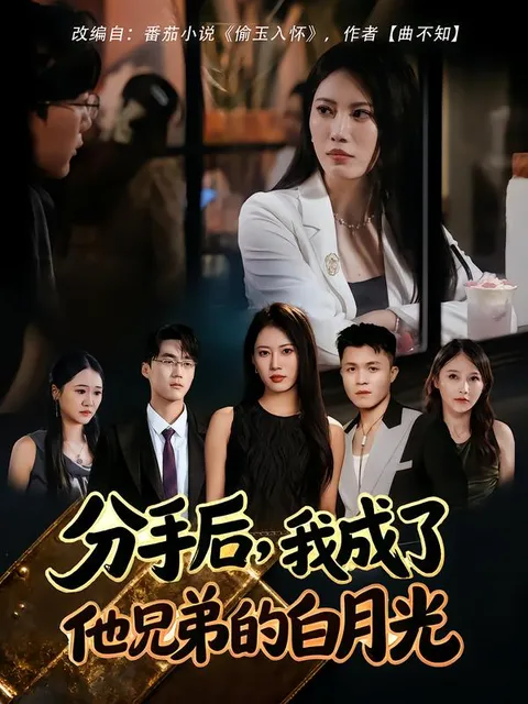 分手后-我成了他兄弟的白月光
