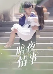 暗夜情事