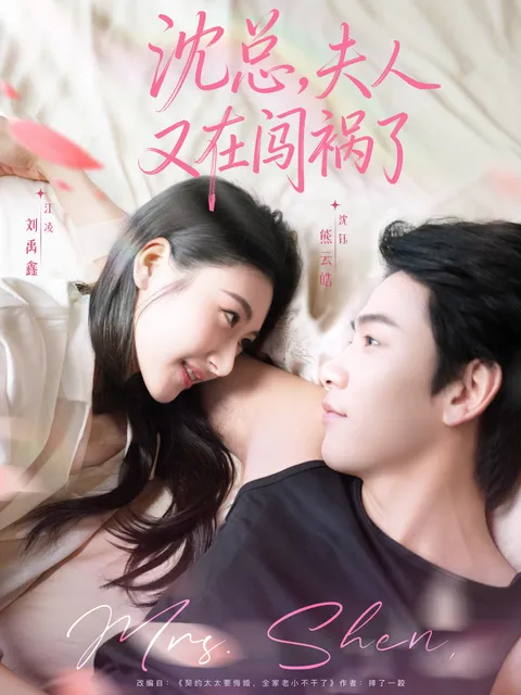 沈总，夫人又在闯祸了