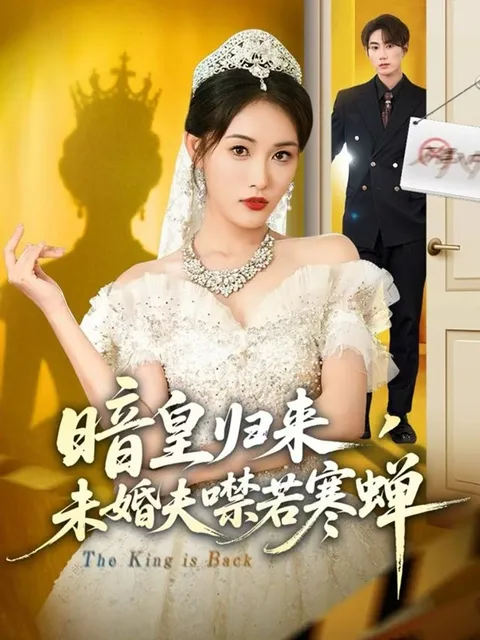 《暗皇归来》讲述未婚夫噤若寒蝉的故事情节