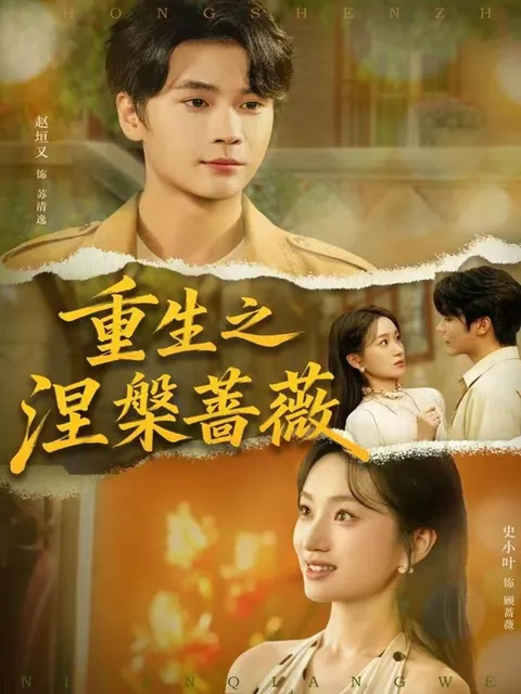 爽爆剧情 - 重生之涅槃蔷薇