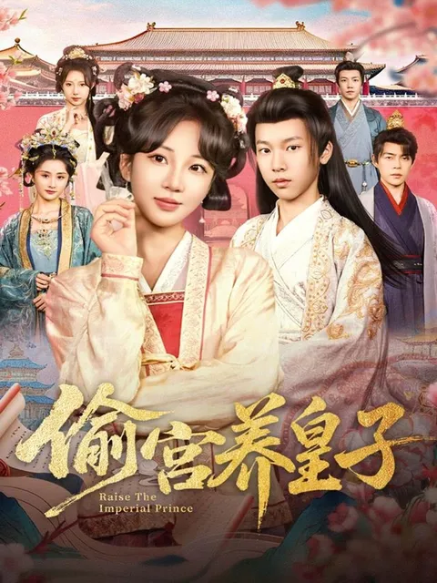 剧情跌宕的《偷宫养皇子》