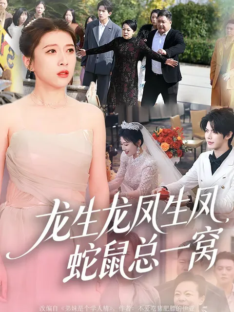 《龙生龙凤生凤，蛇鼠总一窝》剧情解析