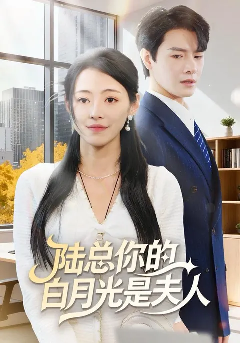 看《陆总你的白月光是夫人》感受爱情的魅力