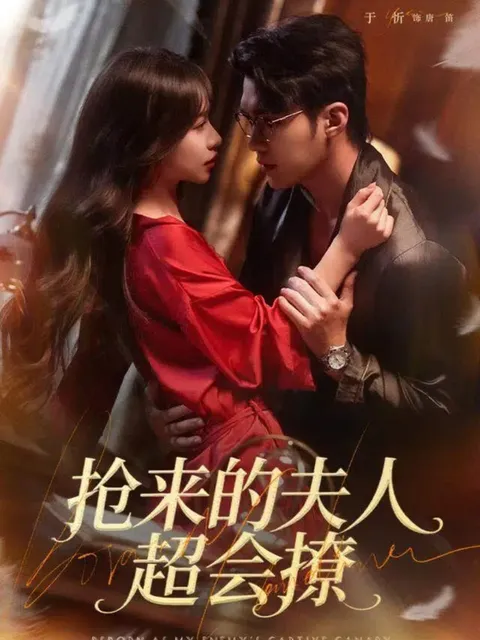 《抢来的夫人超会撩》剧情介绍