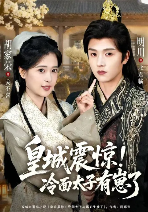 太子之子的故事：《皇城震惊冷面太子有崽了》