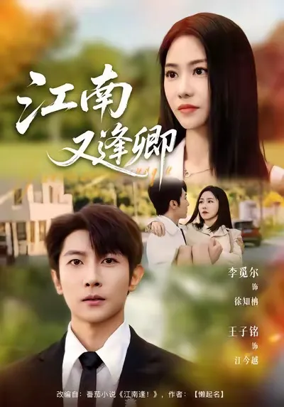 江南又逢卿剧情高燃