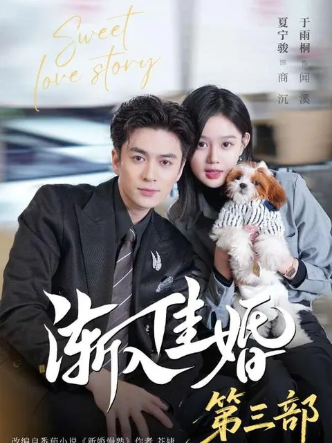 渐入佳婚3剧情揭秘