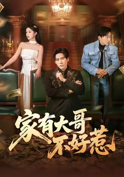 家有大哥不好惹 - 爽文剧情大揭秘