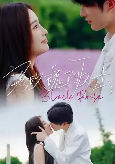 复仇之路 | 黑玫瑰的反击