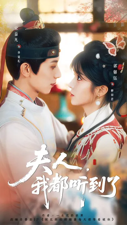 剧情紧凑的《夫人-我都听到了》