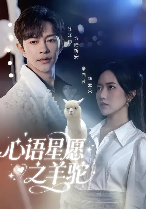 《心语星愿之羊驼》剧情精彩纷呈