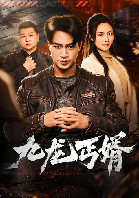 爽文短剧 - 惊险刺激的《九龙丐婿》