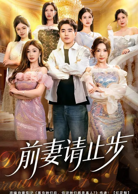 情感纠葛，尽在《前妻请止步》