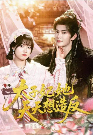 《太子妃》: 不安分的宫廷人生