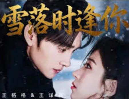 《雪落时逢你》：一段纯爱情感的故事