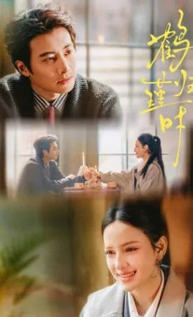 鹤归瑾时：爽文短剧全81集（合全集）观看指引