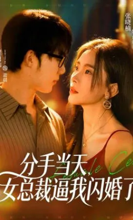 分手当天-女总裁逼我闪婚了：围绕闪婚展开的短剧