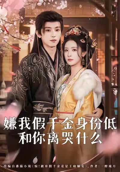 《嫌我假千金身份低，和你离哭什么》- 2025年度热点